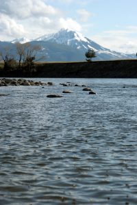 Spring Fishing in Montana