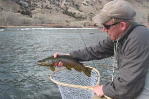 Yellowstone River fishing report