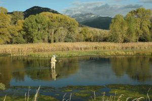 An Angler’s Historical Tour of the Spring Creeks in Paradise Valley