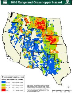 2010 Grasshopper Infestation