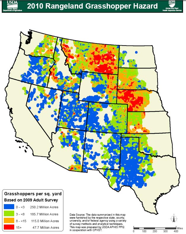 2010 Grasshopper Infestation