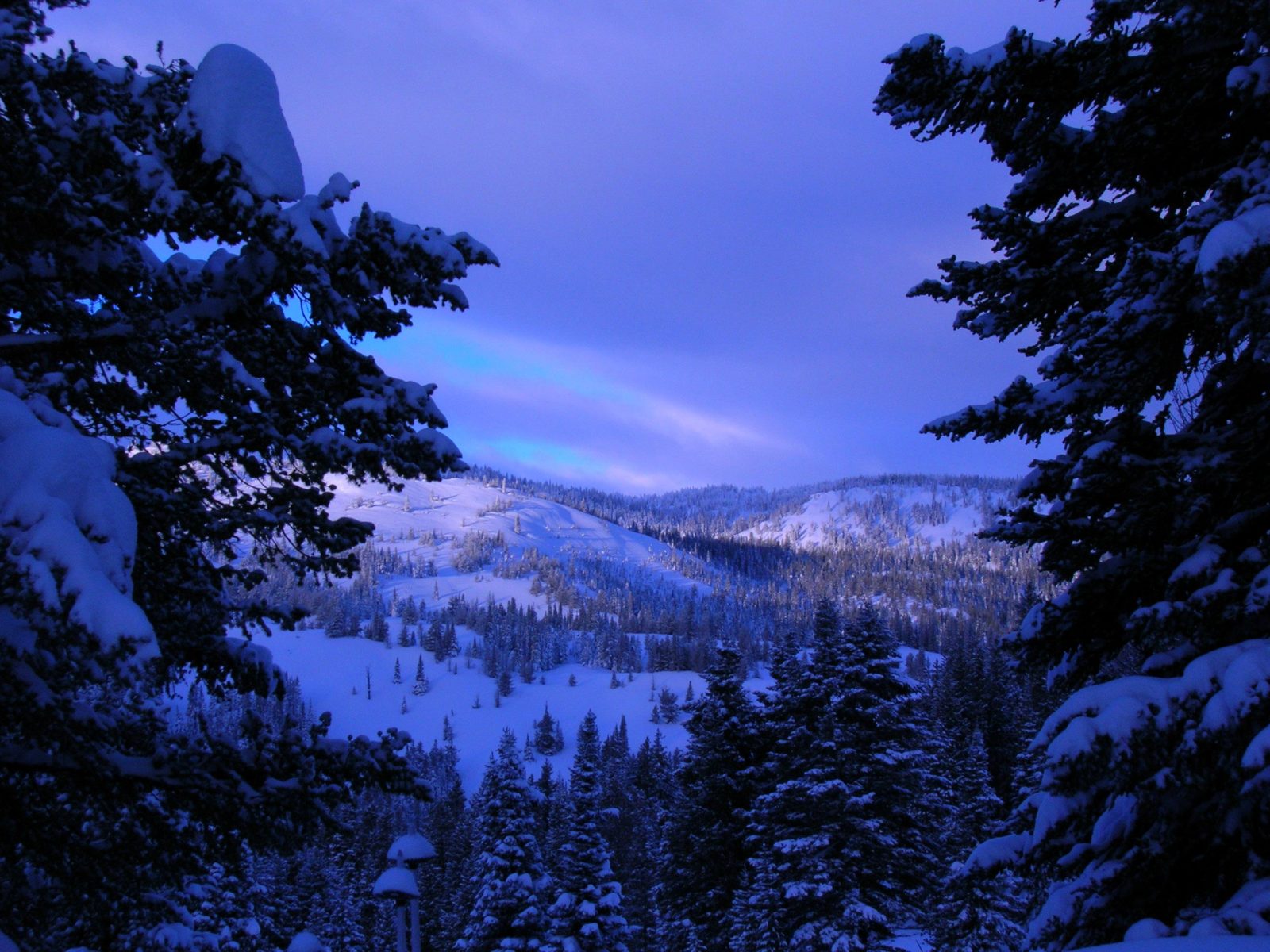 Montana Fly Fishing And Winter Part I Montana Fly Fishing Guides