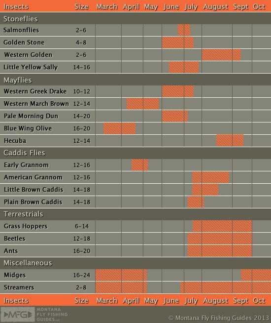 Valley Creek Hatch Chart