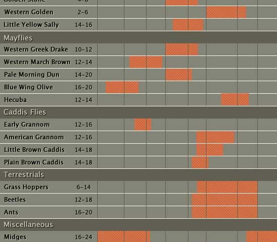 yellowstone river hatch chart nj fly hatch chart