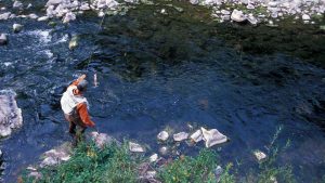 Fly Fishing Montana Boulder River Header