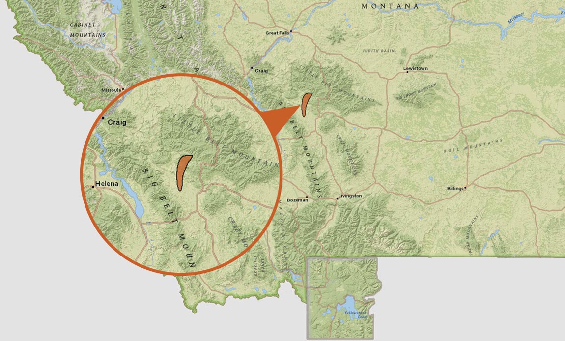 Smith River Montana Hatch Chart