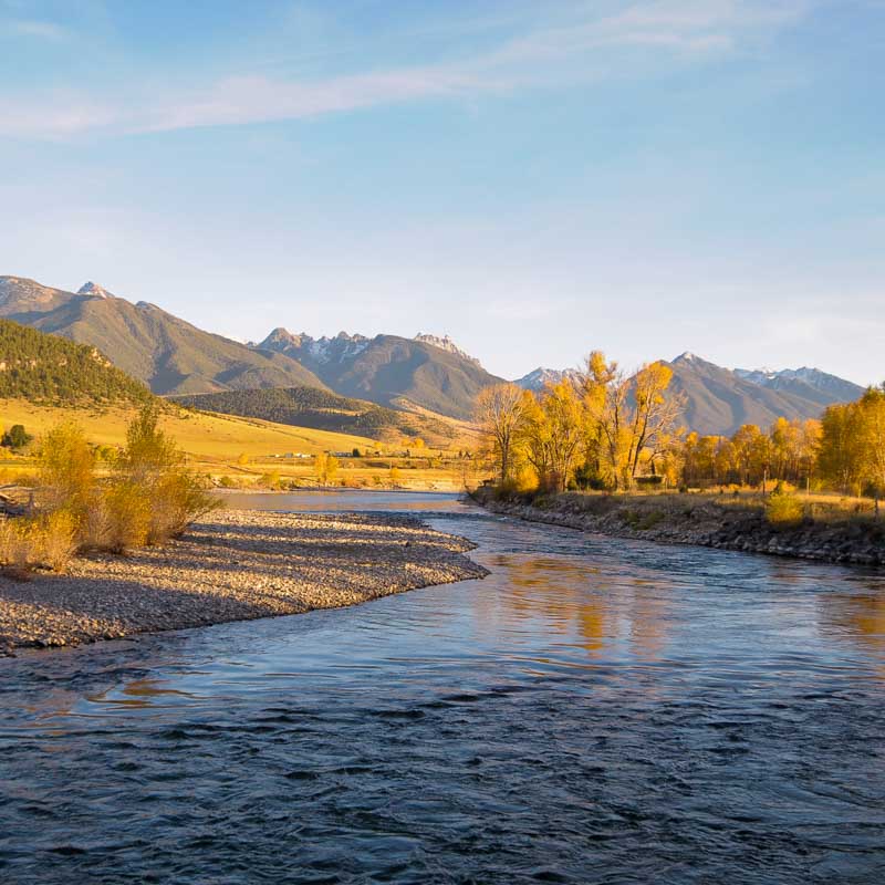 Blue-Ribbon Montana Fly Fishing Guides Near Yellowstone