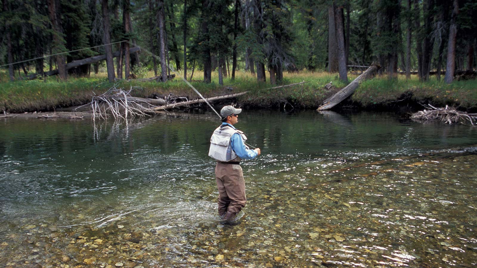 Montana Fly Fishing Guide Service Header
