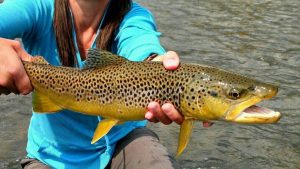 Montana Fly Fishing Guide Testimonials Header