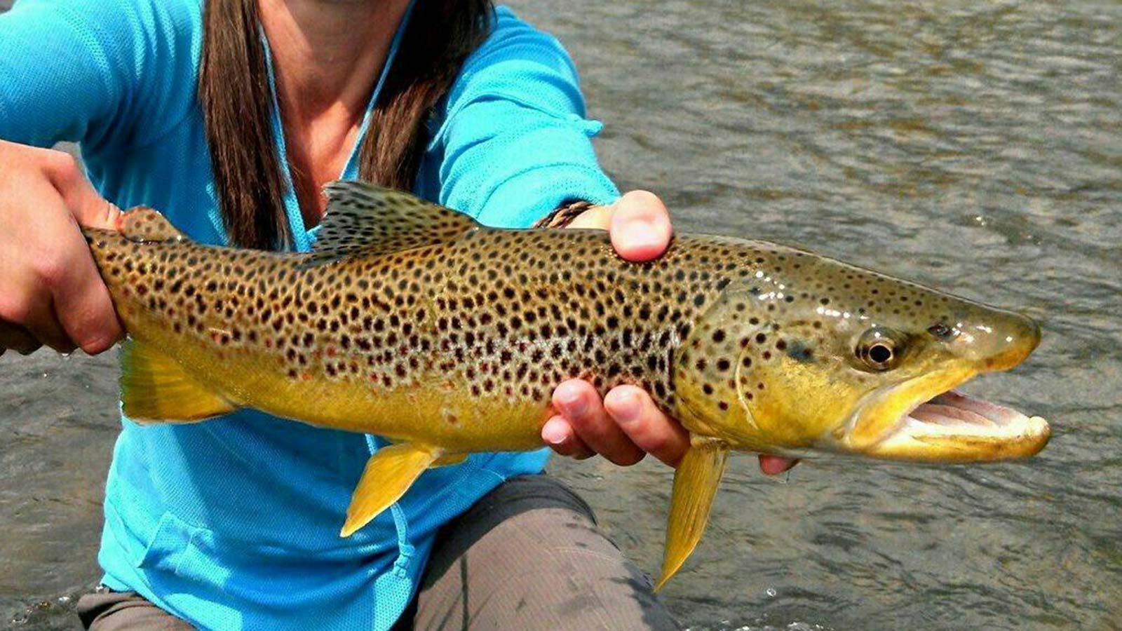 https://www.montanaflyfishingguides.com/wp-content/uploads/2016/05/montana-fly-fishing-guide-testimonials-header.jpg