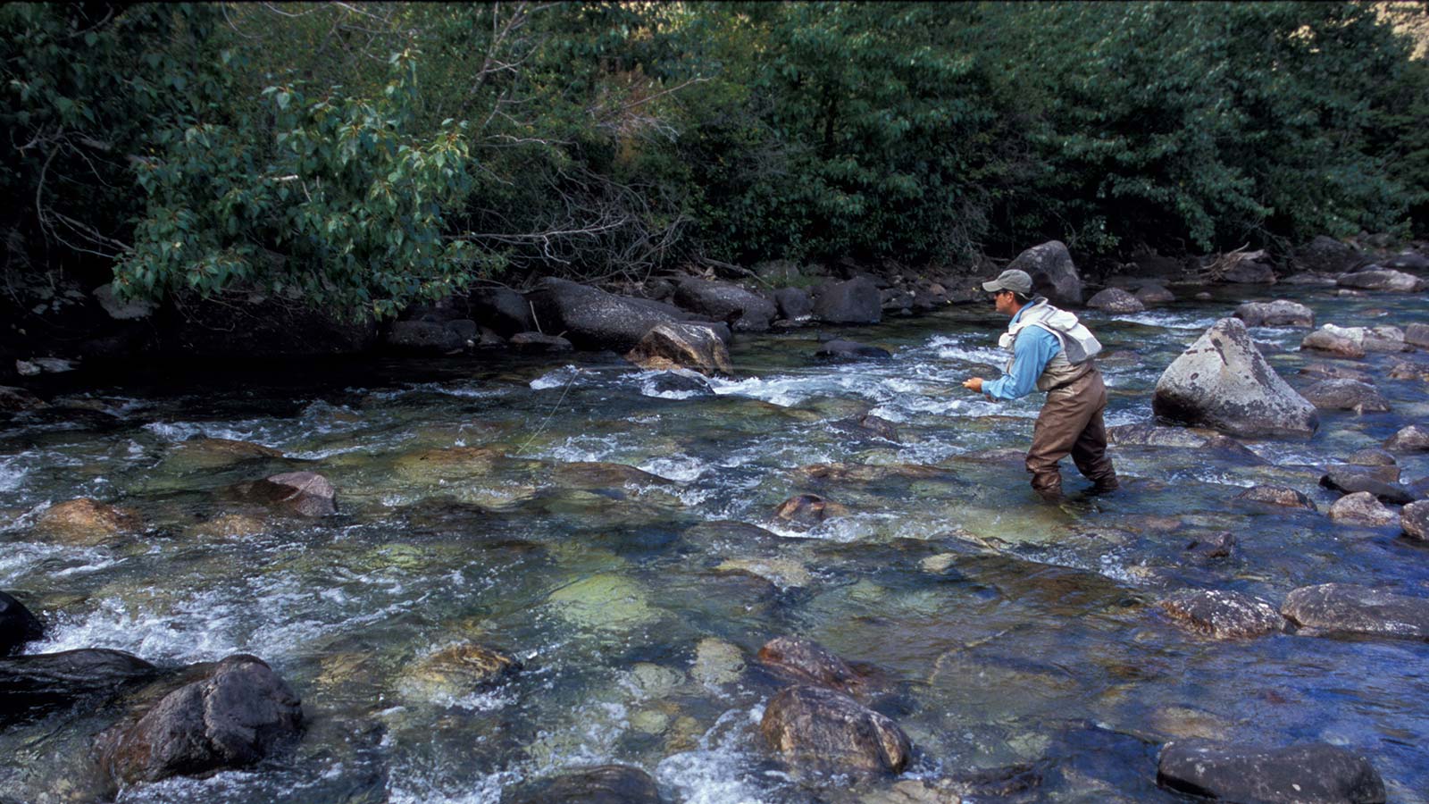 Montana Fly Fishing Header 3