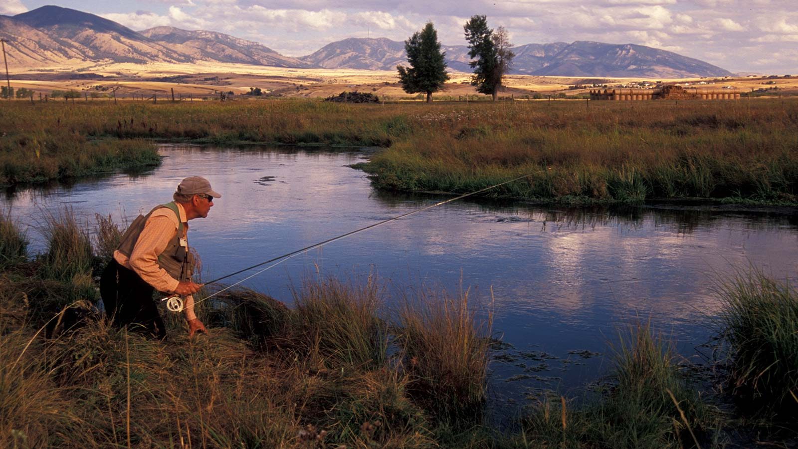 Big Brown Trout in DePuy's Spring Creek - Montana Fly Fishing Guides