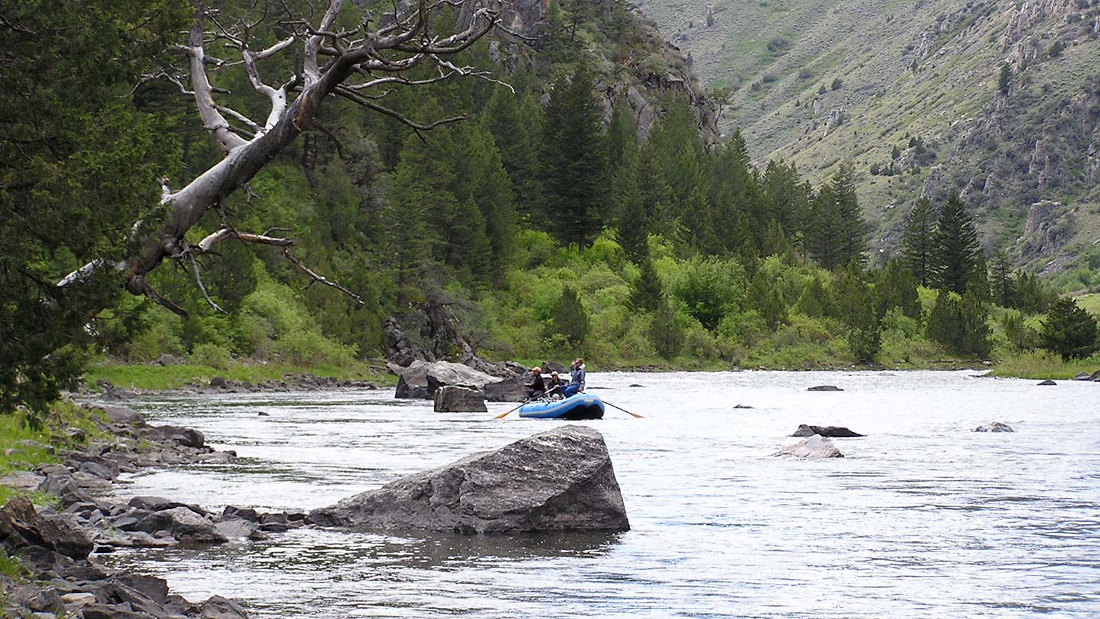 Gallatin River Learn to Fly Fish Montana Whitewater