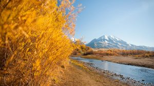 Montana Scenic River Float Header