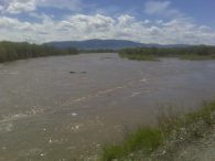 Montana Fly Fishing Yellowstone River