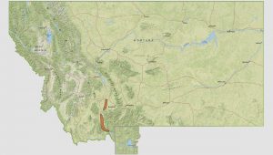 Fly Fishing Montana Madison River