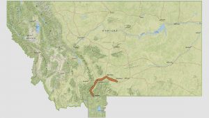 Fly Fishing Montana Yellowstone River