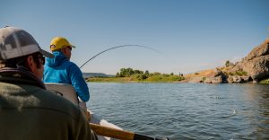 Yellowstone River fly fishing trip
