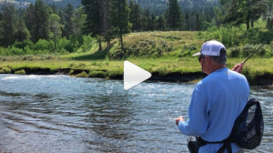 Soda Butte Creek fly fishing video