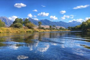 Paradise Valley spring creeks