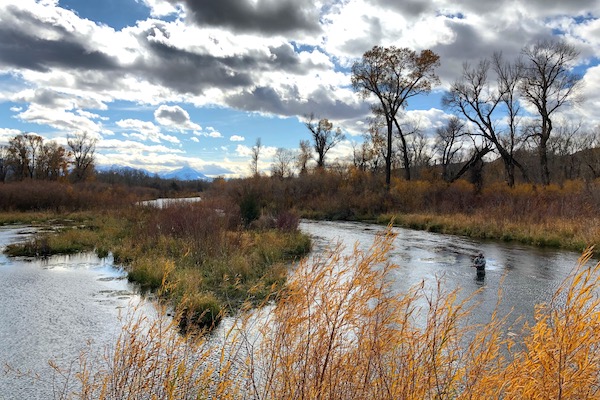 Paradise Valley Spring Creek