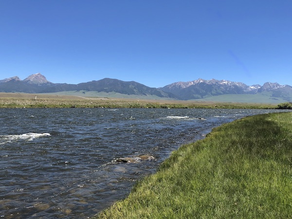 Madison River fly fishing trip