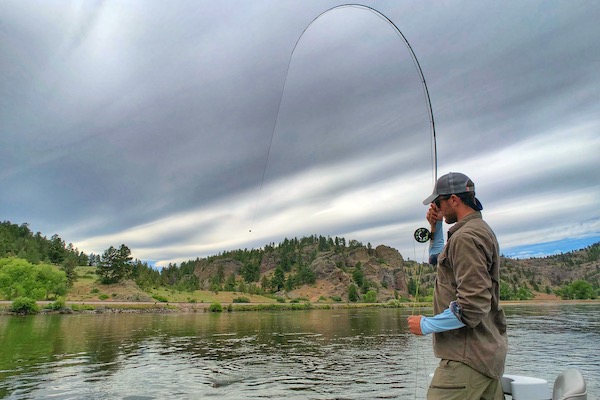 Missouri River fly fishing trout