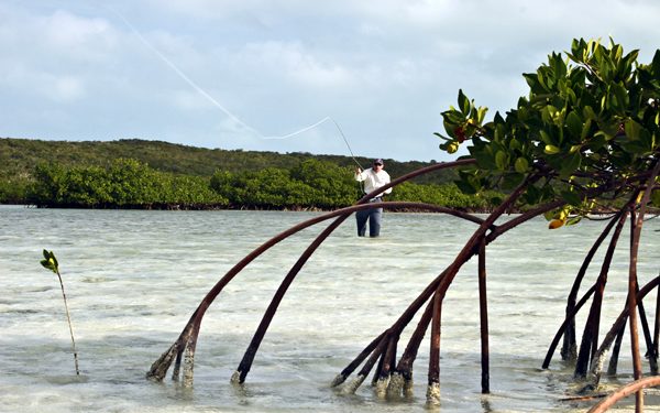 Hunting Bonefish in the Bahamas