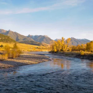 Montana Fly Fishing Guides