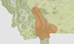 Montana Fly Fishing Guides