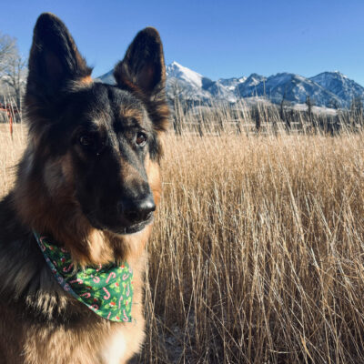 Where's my fly fishing guide